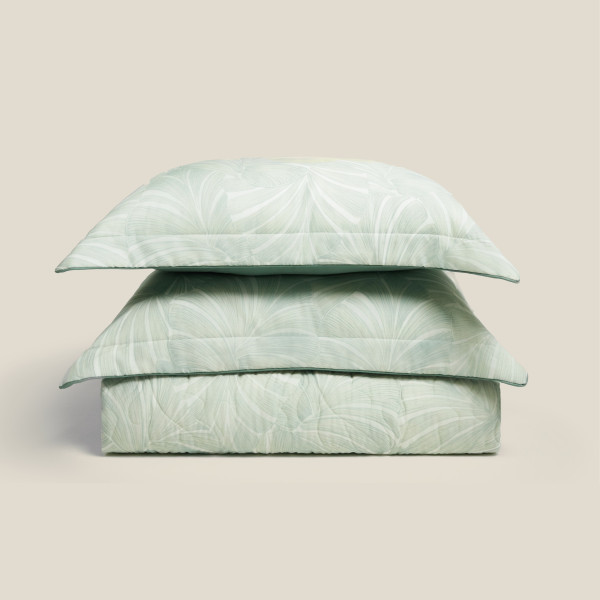 Monstera - EPT26015