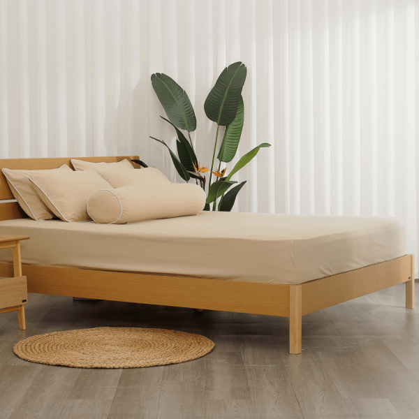 Bộ ga chun Microfiber KMS402_K-Bedding - NV