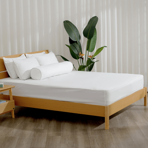 Bộ ga chun Microfiber KMS401_K-Bedding - NV