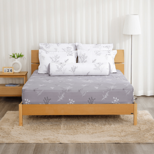 Bộ ga chun Microfiber KMP401_K-Bedding - NV
